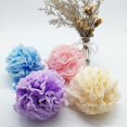 thumbnail image 1 of Set de esponja de baño de malla de encaje >> 2 exfoliantes en 1 de Shower Bouquet: Puf grande de 60 g (paquete de 4 colores): exfolie y limpie la piel con lujosos accesorios de bañ, 1 of 5