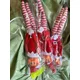 thumbnail image 4 of Muñeco de elfo navideño para decoración del hogar, muñeco de elfo de Navidad para mesa y árbol de Navidad, 2023（Multi color Elf, 4 of 5
