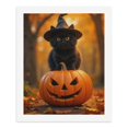 thumbnail image 5 of Paint by Numbers Kit for Adults, Black Cat Witch Pumpkin Autumn Paint by Numbers, Easy Paint by Numbers Kit for Adults Beginner, DIY Adult Paint by Number Kits on Canvas, Home Decor, 5 of 7