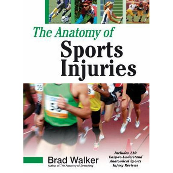 Pre-Owned The Anatomy of Sports Injuries (Paperback) 1556436661 9781556436666