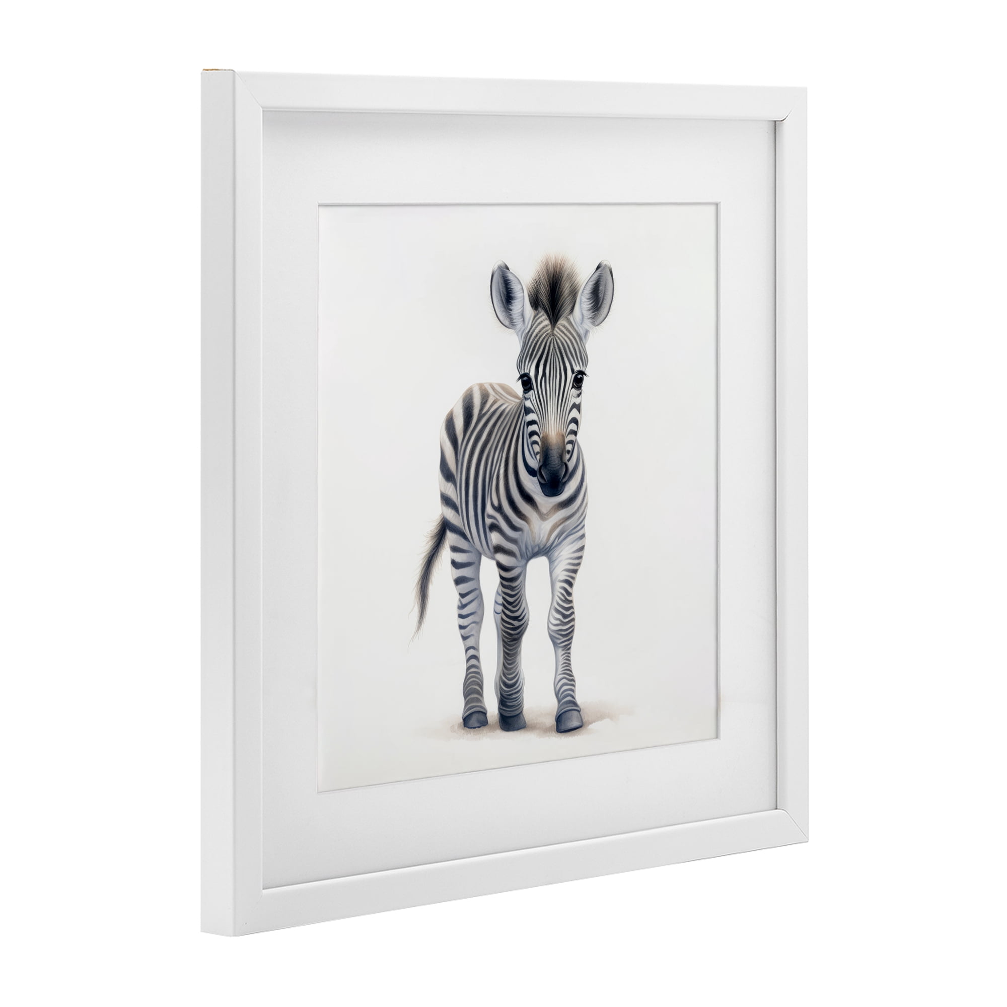 Stupell Industries Friendly Zebra Foal White Framed Print Under Glass, design by Ray Powers