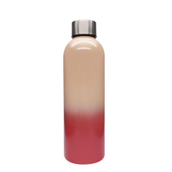 hometrends Bouteille d'eau à double paroi en acier inoxydable Rose ombre 503mL