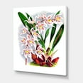 thumbnail image 3 of White Vintage Orchid Flower II 12 in x 8 in Painting Canvas Art Print, by Designart, 3 of 4