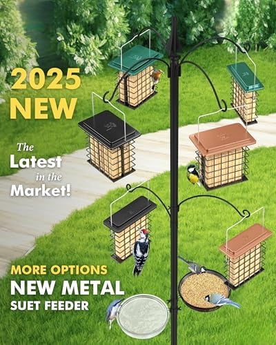 Double Suet Feeder- Metal Roof Bird Feeder with Taller Grid for Woodpeckers, Suet Cake Cage Bird Feeder for Outdoors Hanging,Easy-Clean & Refill,Green (1 Pack)