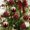 Red-RD Home Decor, variant on Weekly flyer karymi Christmas Ornaments 6CM 12PC Boxed Flocked Christmas Ball Ornament Christmas Tree Cover Decoration Gift Gift Ideas Best Sellers