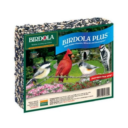 Birdola Plus Large Seed Cake with Vitamins & Minerals, 2 (Best Vitamins For Pet Birds)