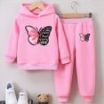 thumbnail image 2 of HCNTES Baby Girl Clothes Winter Girls Sets 2 Pieces, Butterfly Printed Pullover Long Sleeve Hoodies Sweatpants Set, 2 of 4