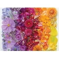 thumbnail image 1 of Rompecabezas Buffalo Games Meghan Crandall Gradient Flora, 1 of 5