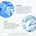 thumbnail image 5 of Youtheory Spore Probiotic, 6 Billion CFU, 60 Capsules, 5 of 7