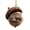 B, variant on PPKVUFD 1Pcs Forest Christmas Ornaments with Sleeping Animals in Acorns, 3.14 Inch Woodland Animal Decor for Christmas Tree, Nature Themed Holiday Decor for Tree Garland Wreath and Tabletop Display