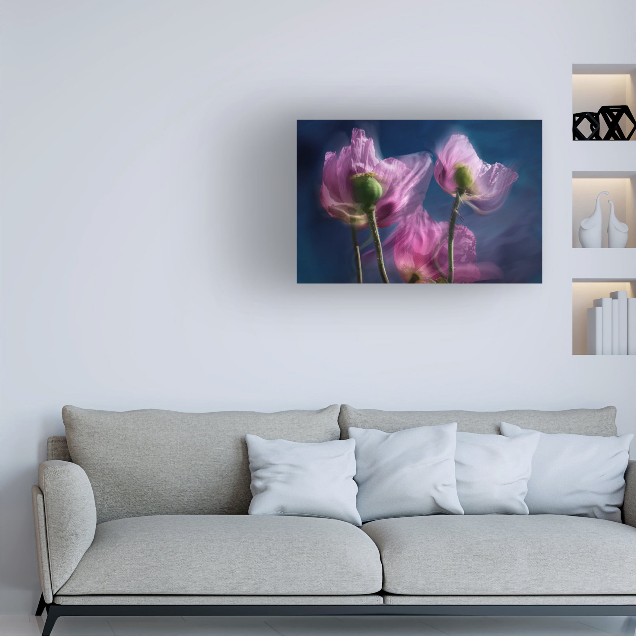 Trademark Fine Art Stephan Ruckert Poppies by the wayside Canvas Wall Art