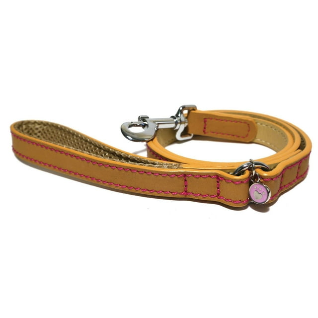 Collier de chien Rosewood Pet en cuir de luxe