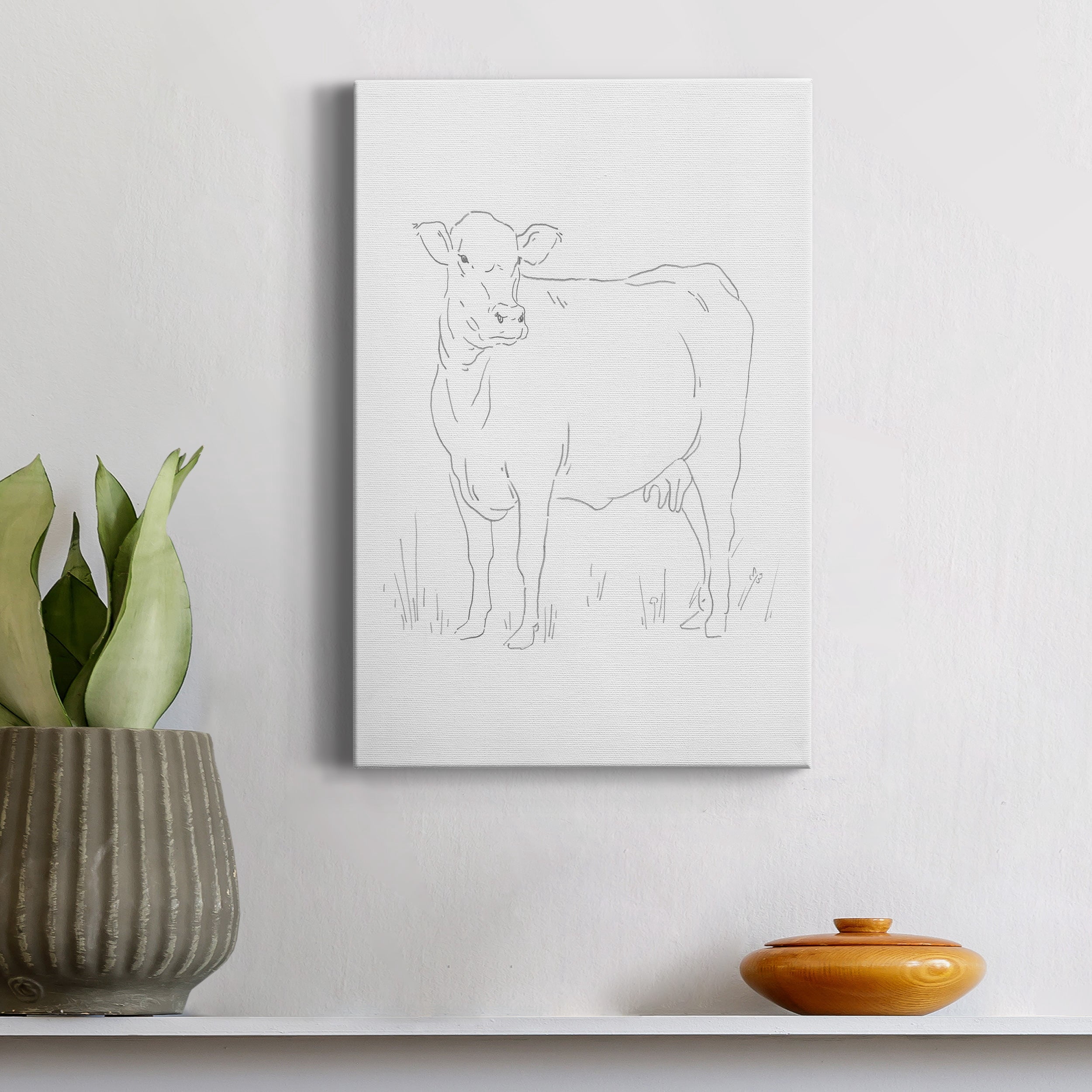 Limousin Cattle II Premium Gallery Wrapped Canvas - Ready to Hang