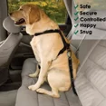thumbnail image 5 of Matchi Adaptador De Cinturón De Seguridad Para Perros Correa Color Verde-negro Mate, 5 of 5