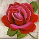 thumbnail image 2 of Mosaico de diamantes 5D Kit de mosaico de taladro redondo completo Wdftyju DIY Serie de flores para pared bordado de diamantes completo decoración de dibujo regalos, 2 of 9