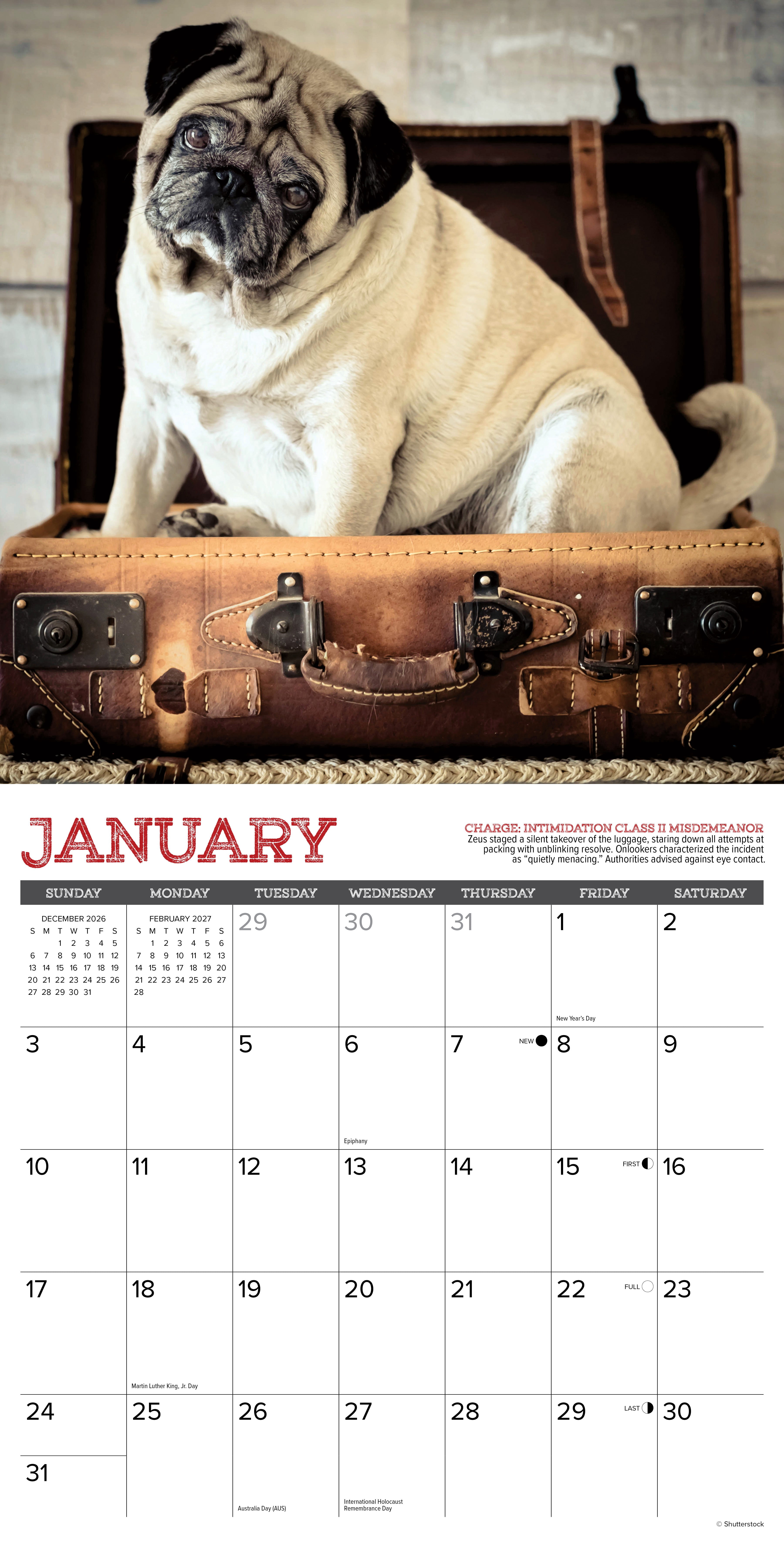 Willow Creek Press, Pug Mugs 2027 Wall Calendar
