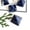 Blue Vein Sodalite Quartz Crystal, variant on K-KED Natural Healing Quartz Crystal Point Tower Chakra Rock Gems Pyramid Reiki Decor-Black Obsidian Quartz Crystal