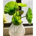 thumbnail image 3 of Artificial Faux Plant Lotus Seed and Leaf Stem Various Sizes, 3 of 4