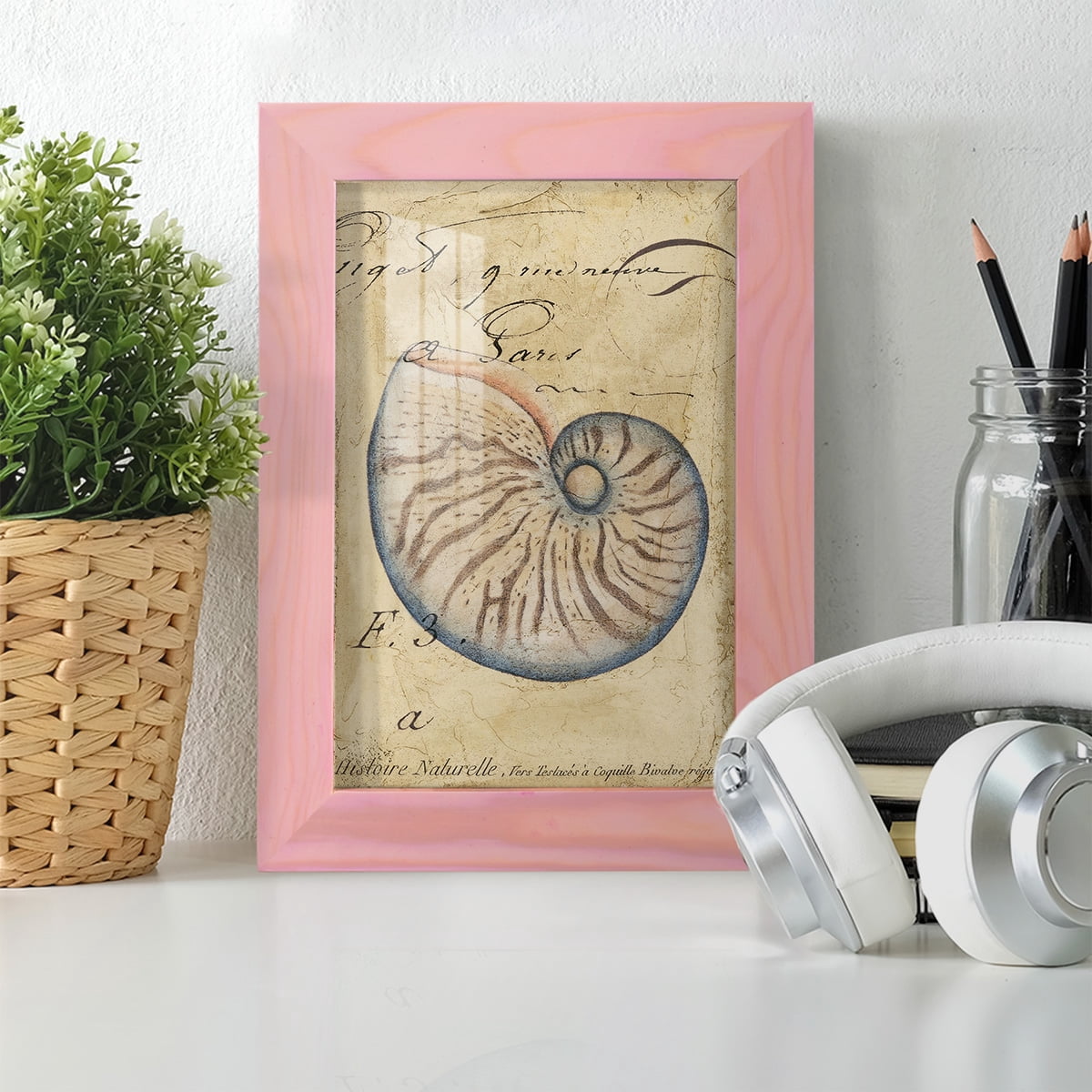 Seashell Ephemera II - Framed Print w/glass - Sunset Pink