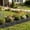 Black, variant on Plastic Garden Fence Panel Lawn Border Edge Decorative Yard Barrier Tree Ring Separation Fence Outdoor Landscaping Garden Border Edging Fence Set(Black)