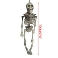 thumbnail image 3 of Halloween Decoration Outdoor Halloween Skeleton Glow in The Dark Plastic Posable Skeleton with Movable Joints,Small Hanging Skeletons for Halloween Indoor Decor,Ghost House Graveyard Props, 3 of 7
