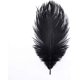 thumbnail image 3 of 30 piezas de plumas de avestruz negras a granel de 10 a 12 pulgadas para centros de mesa, fiestas, bodas, decoraciones para el hogar, atrapasueños, jarrones artesanales (negro), 3 of 5