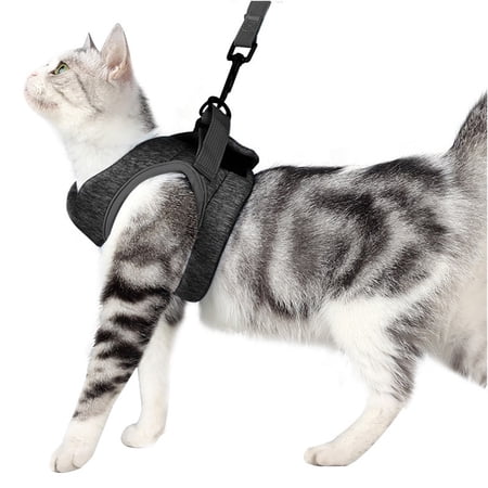 Pet Vest for Fashionable Walks Ultra-light 360 Degree Wrap-around Vest with Soft Mesh for Small Animals (M Gray)