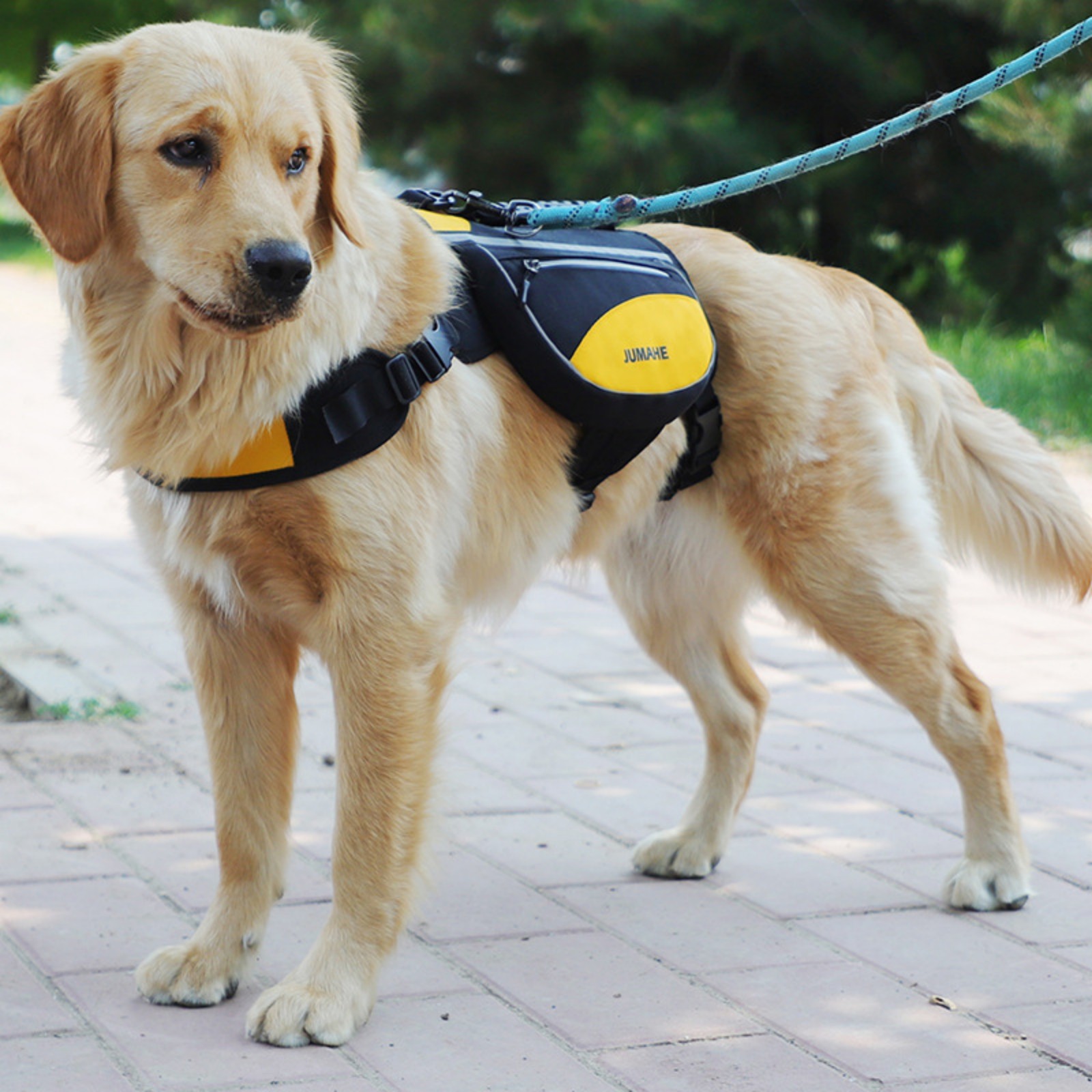 Jaucin Large Dog Backpack Pet Outdoor Self - Carrying Backpack - Anti - Pull, Breathable, Reflective Dog Pack