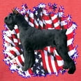 thumbnail image 3 of CafePress - Giantschnauzerpatriot Women's Deluxe T Shirt - Womens Tri-blend T-Shirt, 3 of 4
