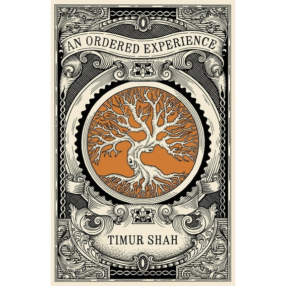 An Ordered Experience (Paperback)