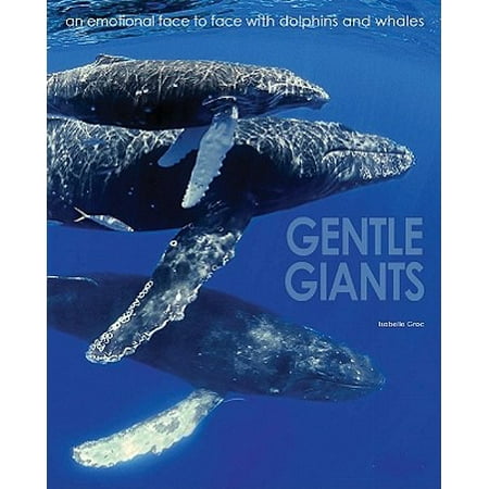 Gentle Giants An Emotional Face To Face With Dolphins