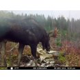 thumbnail image 2 of Heavy Weight Mineral 55lbs. By Rack Stacker, 2 of 11