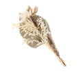 thumbnail image 1 of Hojas de palma secas naturales, hierba, 40 cm, ramo decorativo de palma, ramas secas, caña Conjunto A, 1 of 8