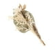 thumbnail image 1 of Hojas s Pampas Grass 40cm Bundle Branches Palm Reed Bouquet Mixto para fiesta Boda Fotografía Arreglos florales Decoración Conjunto A SM SunniMix Hierba de pampa seca, 1 of 8