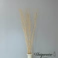 thumbnail image 6 of Uniquewise 12 pcs Natural Decorative Dry Branches Authentic Willow Sticks for Home Decoration, Wedding Craft, 47 in, Black, Stems DIY Greenery Plants Craft Vases fillers Garden Hotel Farmhouse Décor, 6 of 6