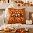 thumbnail image 6 of Fall Pumpkin Pillow Covers, Thanksgiving Decorative Pillow Case with Hidden Zipper Polyester Fabric, Autumn Harvest Home Decor for Sofa Couch Bed Bedroom, 17.7 x 17.7 Inch, 6 of 7