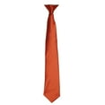thumbnail image 1 of Premier Couleurs Cravate à Pince en Satin pour Hommes, 1 of 3