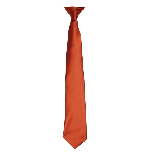 Premier Couleurs Cravate à Pince en Satin pour Hommes