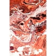 thumbnail image 2 of Jenny Rainbow Fine Art 13x18 White Modern Wood Framed Museum Art Print Titled - Fluid Acrylic Unknown Taste 6, 2 of 4