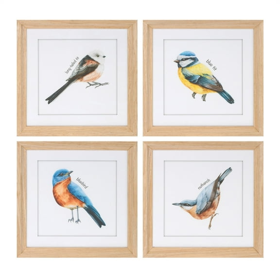 Melrose International Framed Bird Print (Set of 8) 9.75"SQ MDF/Glass/Paper