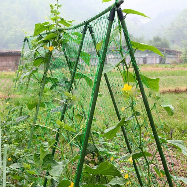 Jardin legume, filet de protection plantations, vente en ligne