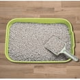 thumbnail image 5 of GreenJoy Kitty  Cat Litter Box Starter Kit - Small Pan Without Lid, Mat, Scoop and Bowl for Kitten, 5 of 6