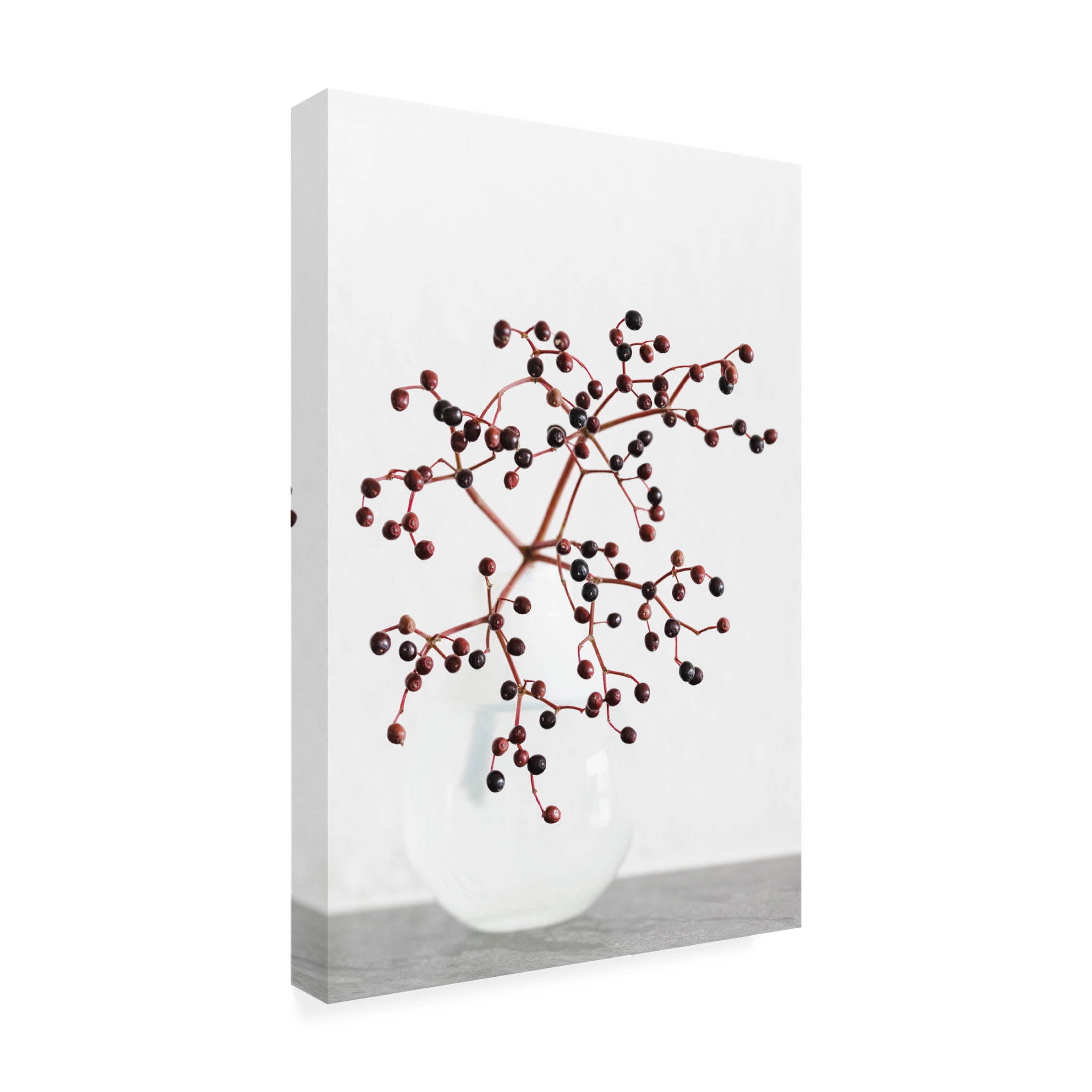 Trademark Fine Art Pictufy Studio Vase Berries Canvas Wall Art