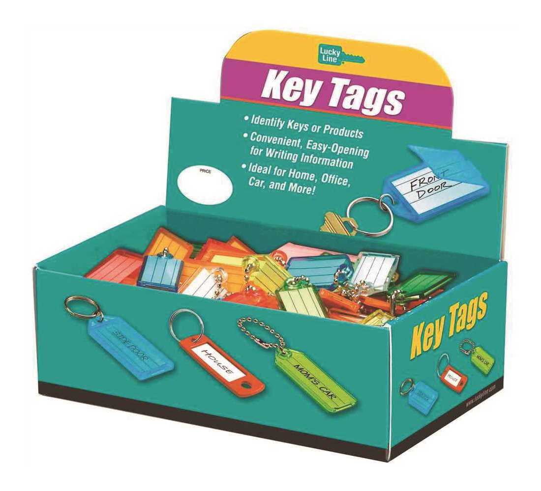 Lucky Line Plastic Key Tag With Chain - Compact Id Keychain - 100 Pack