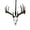 White, variant on Whitetail Deer Skull Rearview Mirror Hanging Ornament, 4 Inch Rustic Deer Antler Car Charm, Unique Hunting Gift for Men Dad Fathers Day Birthday Christmas