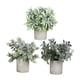 thumbnail image 5 of 3 Piezas de Plantas Falsas BLESIY Decorativas en Macetas Pequeñas, 5 of 8