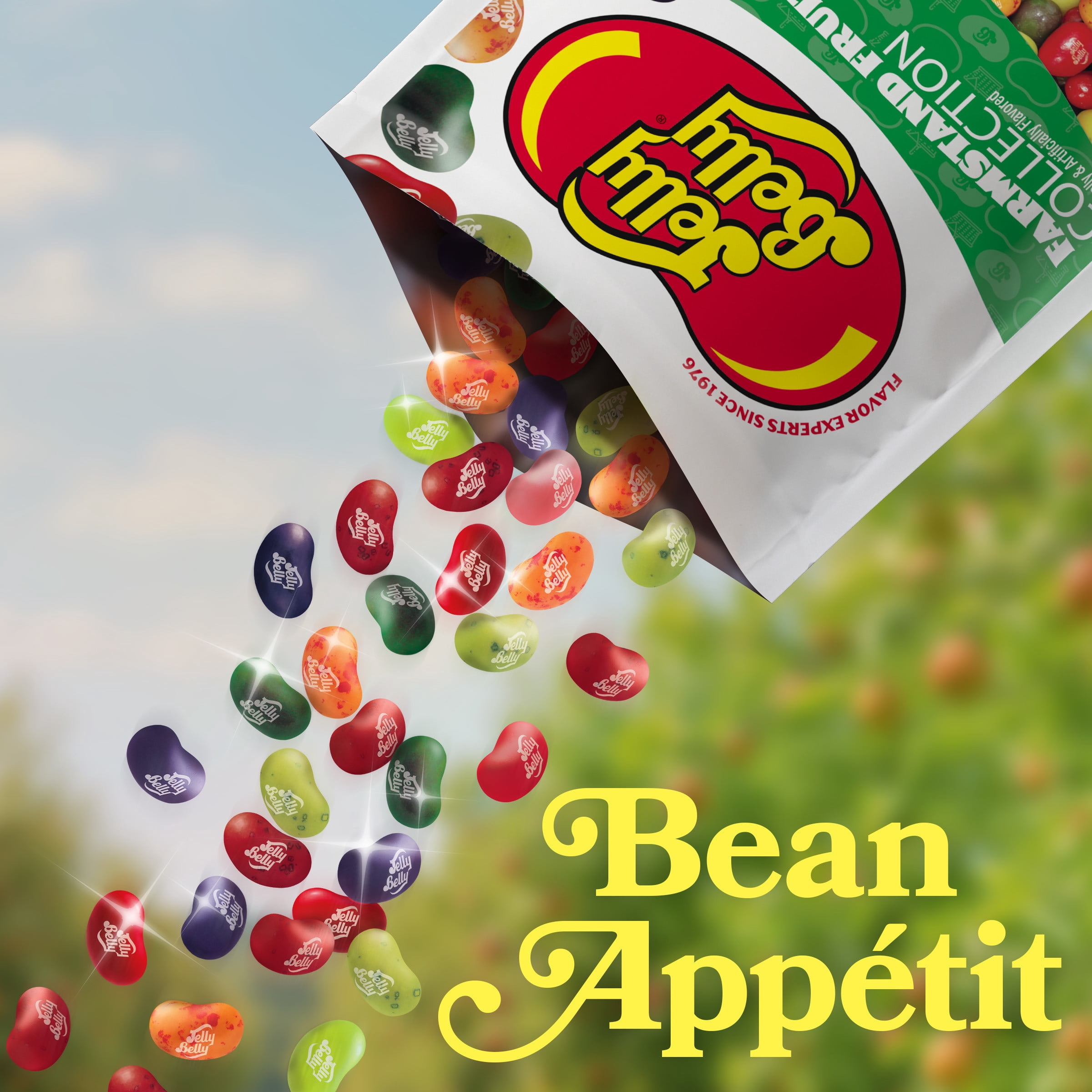 Jelly Belly Farmstand Fruit Jelly Bean Collection - 3.5 oz Grab & Go® Bag, 12-Count Case - Genuine, Official, Straight from the Source
