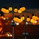thumbnail image 3 of Luces Césped Decorativas para Caminos Halloween Solar IP65 Impermeable 6/8/10 LED Atmósfera Festiva Suministros Fiestas Al Aire Libre, 3 of 6