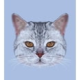 thumbnail image 3 of Cat Duvet Cover Set, Scottish Straight Kitty Portrait Pet Companion Hipster Animal Graphic, Decorative 2 Piece Bedding Set with 1 Pillow Shams, Twin Size, Pale Blue Pale Grey, by Ambesonne, 3 of 3
