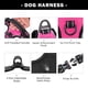 thumbnail image 4 of Arnés para perros PHOEPET Chaleco reflectante ajustable con clip frontal XS, 4 of 6
